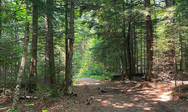 212 Acres Muskoka La...