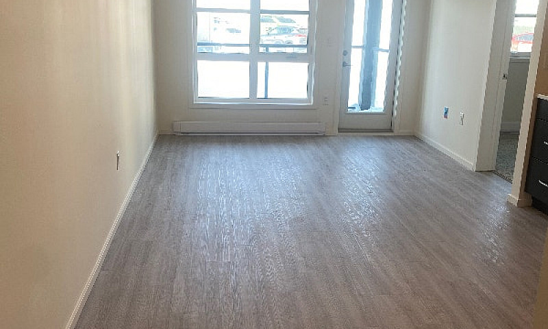 Modern Condo South O...