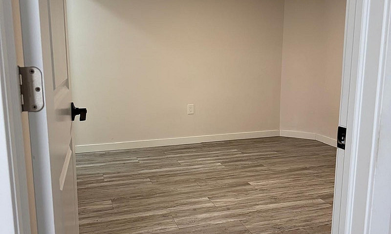 One Bedroom Basement...