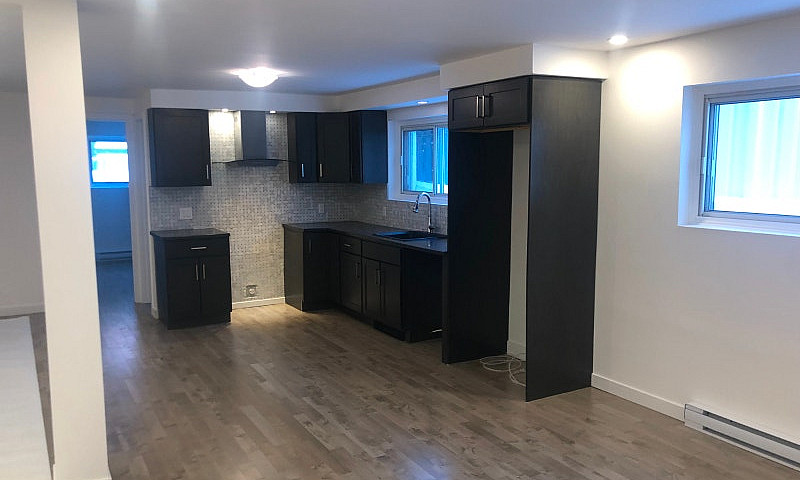 Renovated One Bedroo...