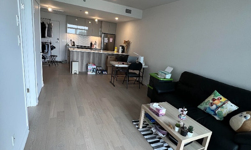 3 1/2 Newly Built Co...