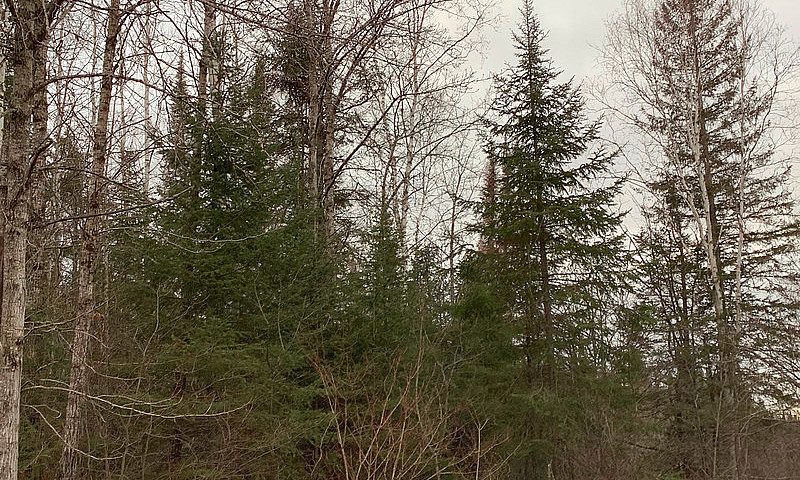  3-Acre Building Lot...