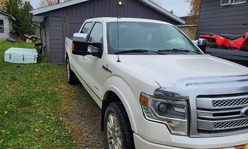 2014 Ford F150 Plati...