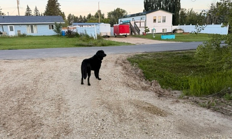 1.4 Acre Residential...