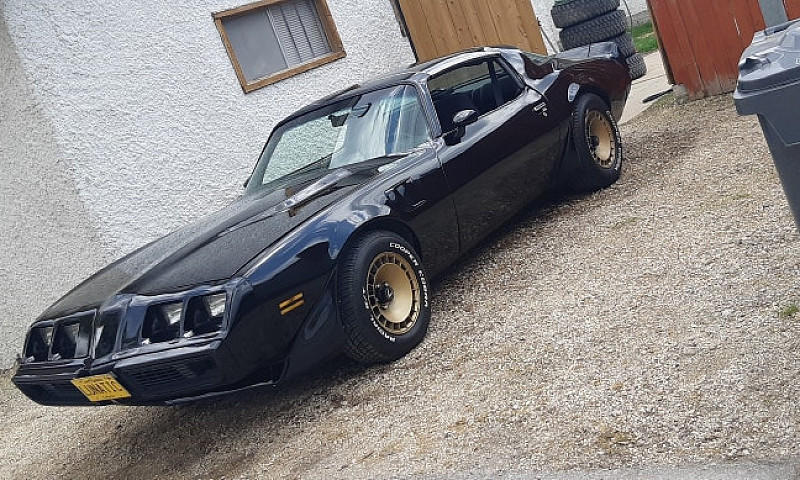 81 Trans Am Turbo ...