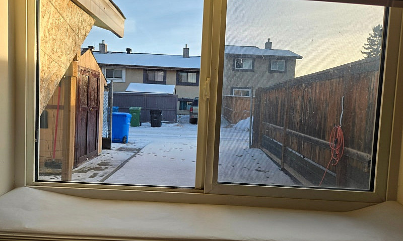 One Bedroom Walkout ...
