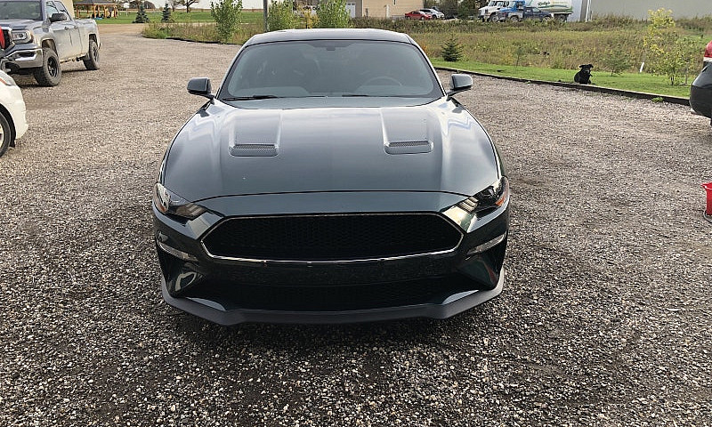 2019 Ford Mustang Bu...