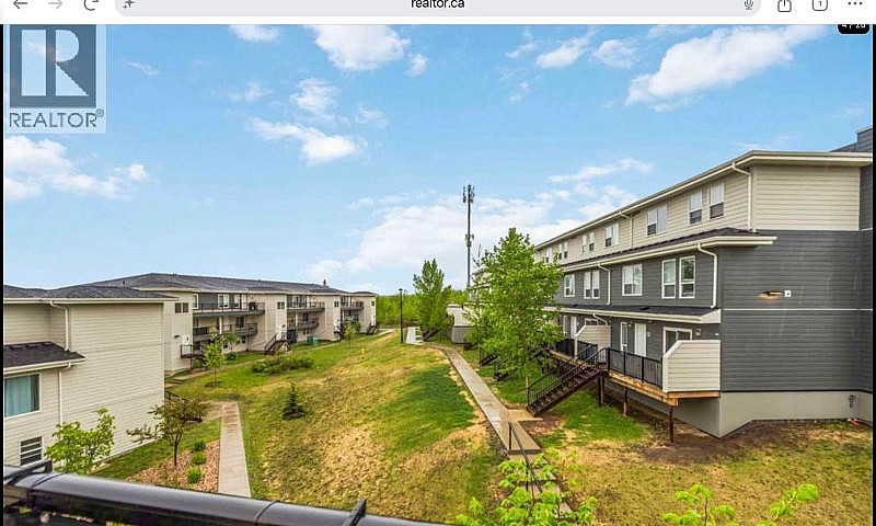3 Bedroom Apartment ...
