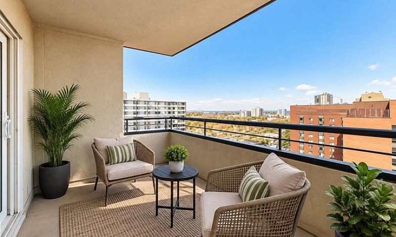 1 Bedroom Renovated ...