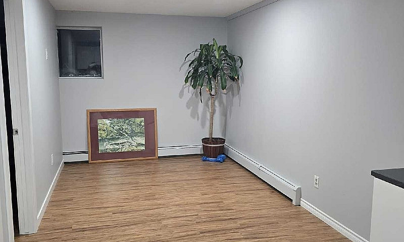 Basement For Rent Av...