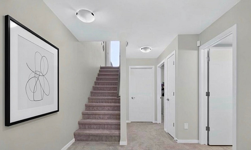 1 Bedroom 1 Bath Bas...