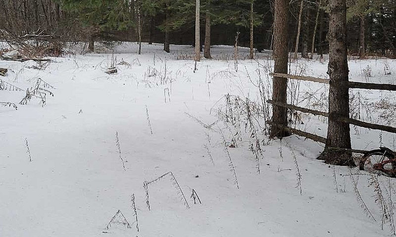 24 Acres For Sale...