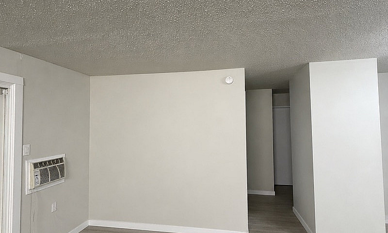 1 Bedroom Apartment ...