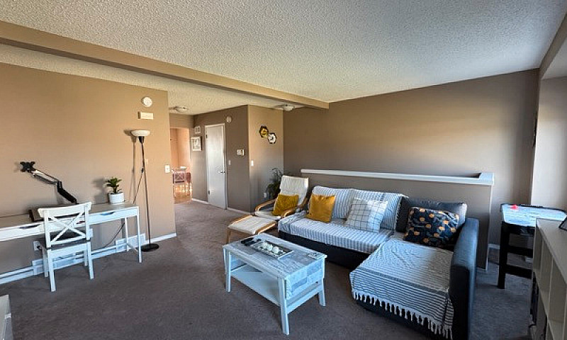 **Bright 3Bed 2.5Bat...