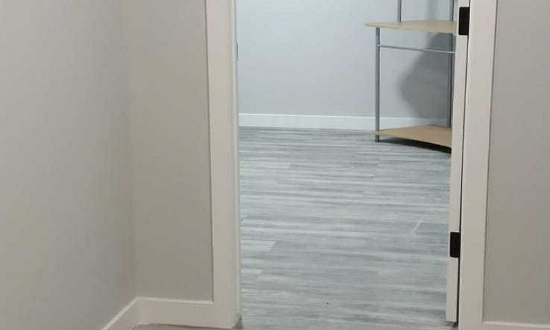 Basement For Rental...