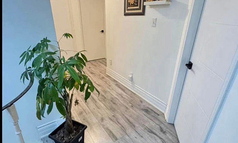 Room For Rent...