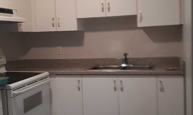 Basement Apt For Ren...