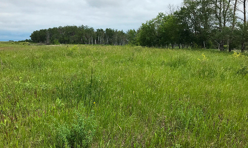 Land For Sale...