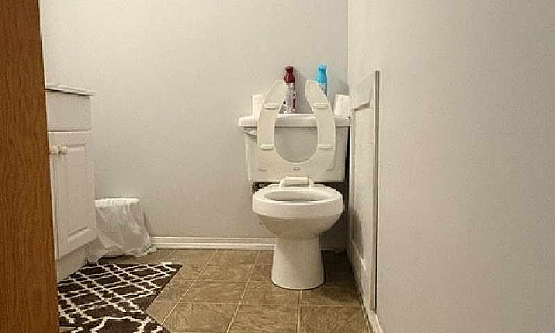 Bachelor Basement Su...