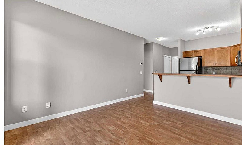 One Bedroom Plus Lar...