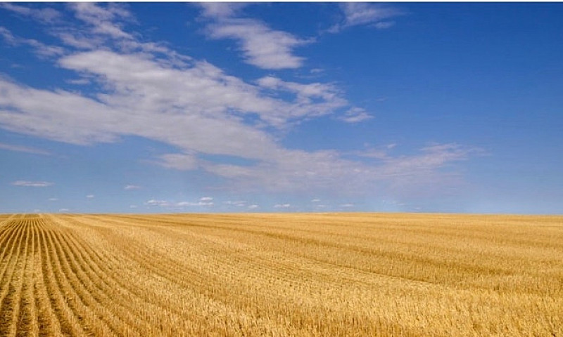 Farm Land For Sale...
