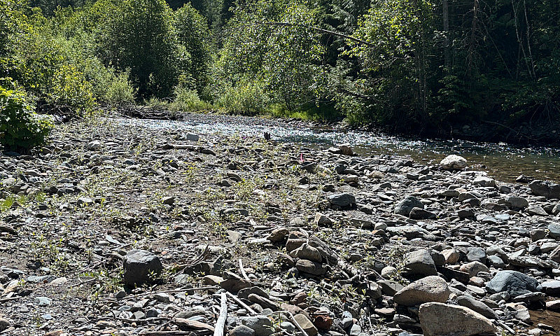  Monashee Gold Claim...