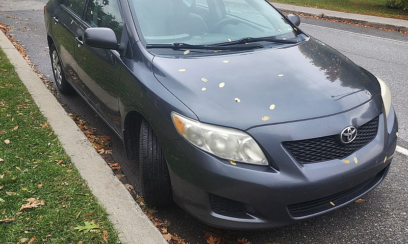 Toyota Corolla 2010...