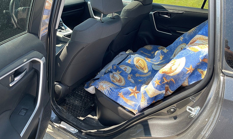 2025 Toyota Rav4 Xle...