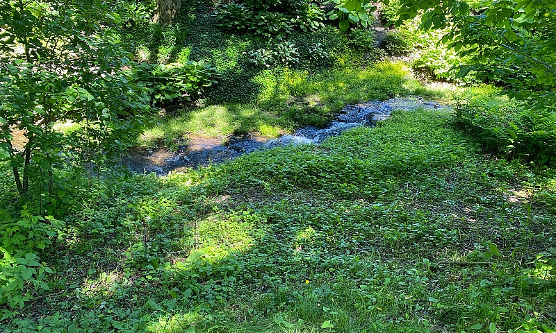 Terrains De Camping ...