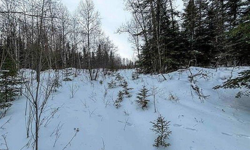 Lot 4 Grassy Lake - ...