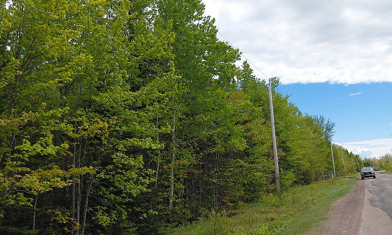 Land For Sale  Of +/...