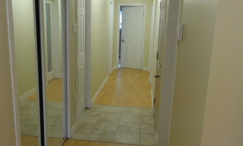 Legal Suite For Rent...