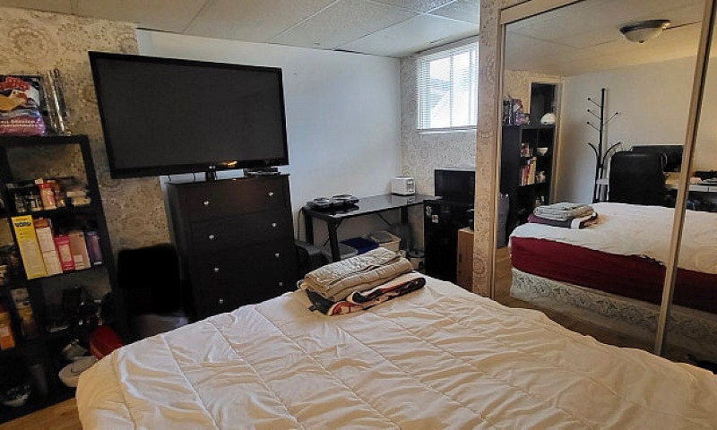 1 Bedroom Suite Ever...