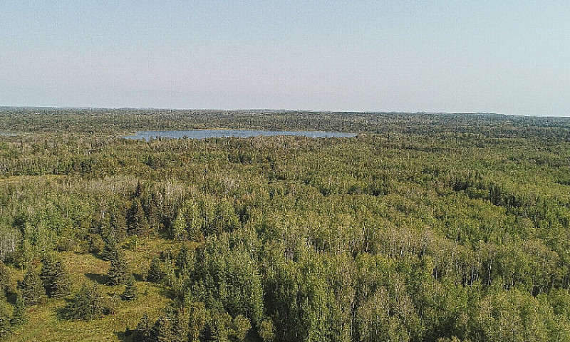 43 Acre Lakefront Pr...