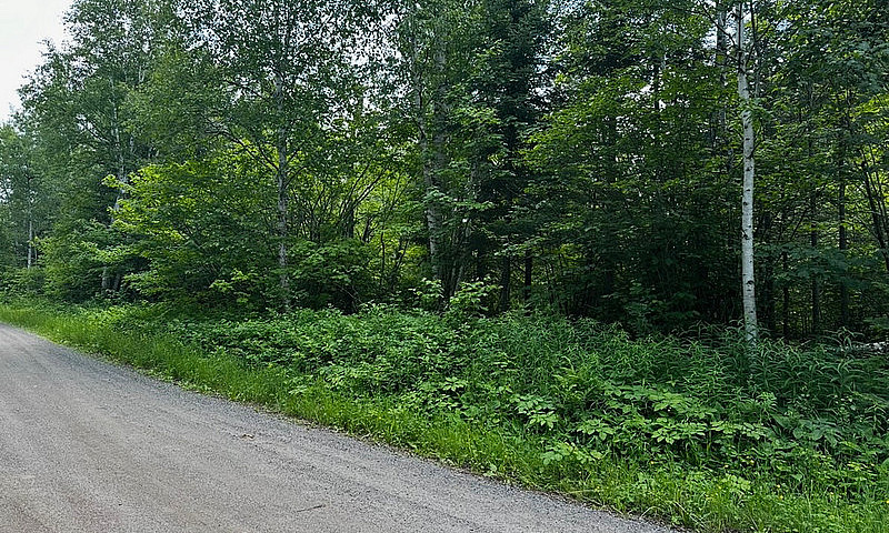 12 Acre Building Lot...