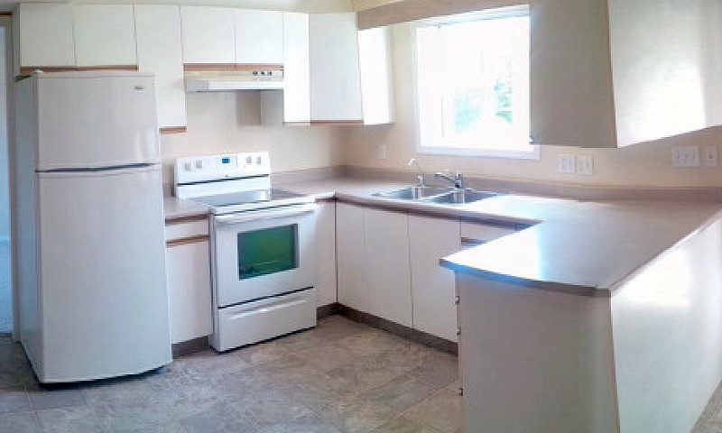 1 Bedroom Plus Den I...