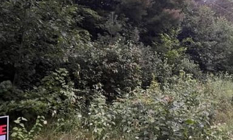 Vacant Land / Reside...