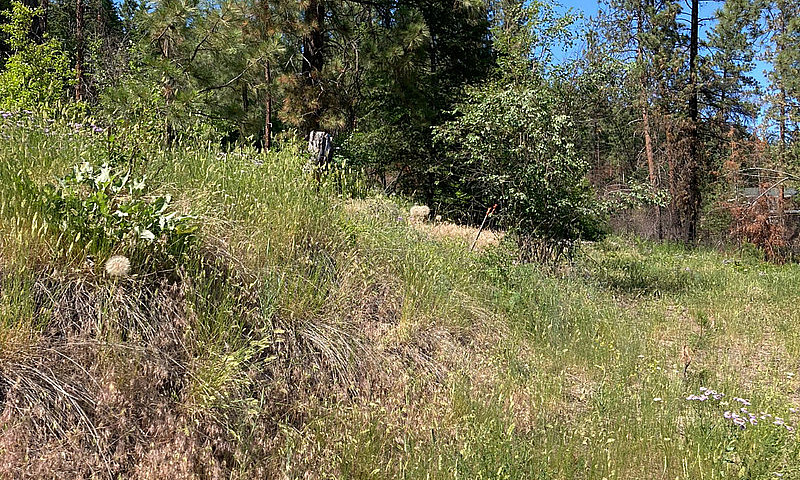 Vacant Land/Building...