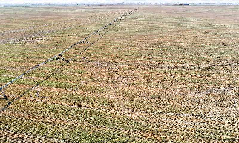Irrigated Grain Land...
