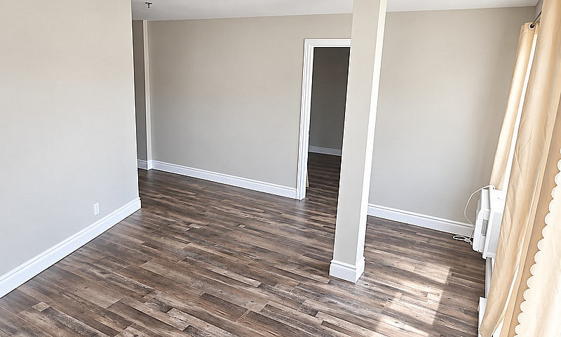 Freshly Renovated 1-...