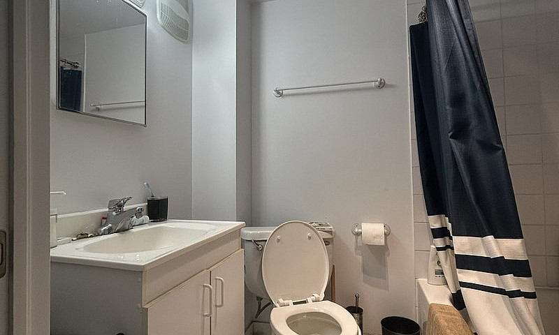 3 1/2 Apartment Near...