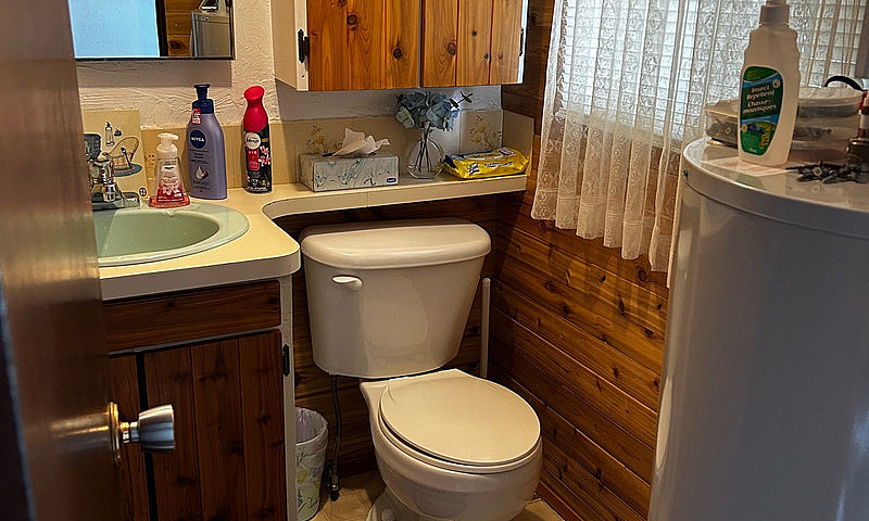 Cabin And Lot For Sa...
