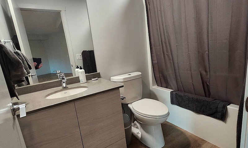 Studio Suite For Ren...