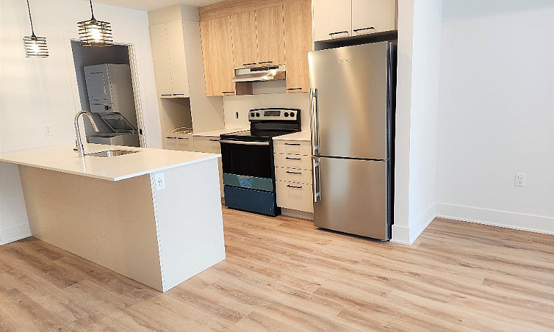 New 1 Bedroom Condo ...
