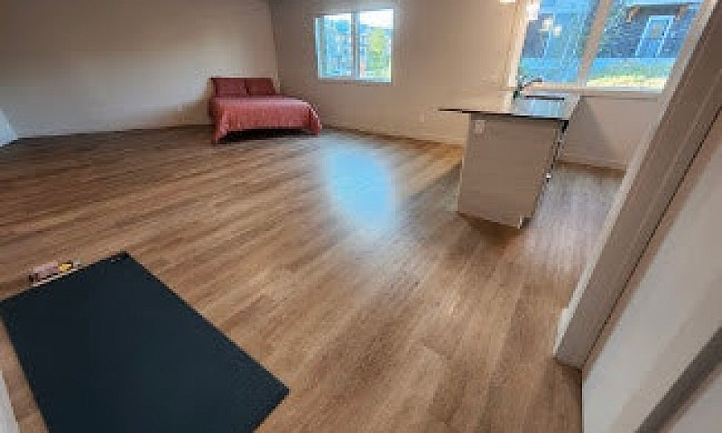 Studio Suite For Ren...