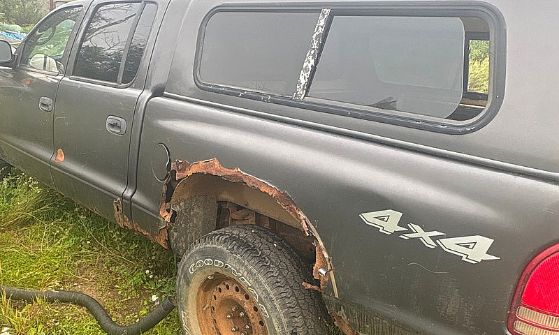 2004 Dodge Dakota Qu...