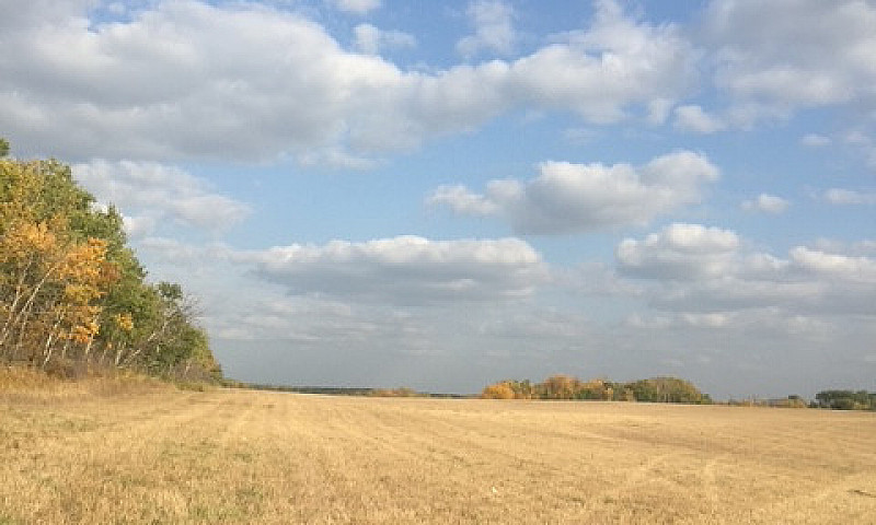 160-Acre Heritage Fa...