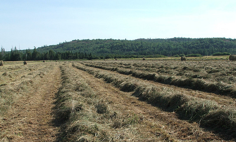 320 Acres Farmland -...