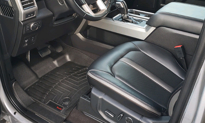 2020 F150 Platinum 4...