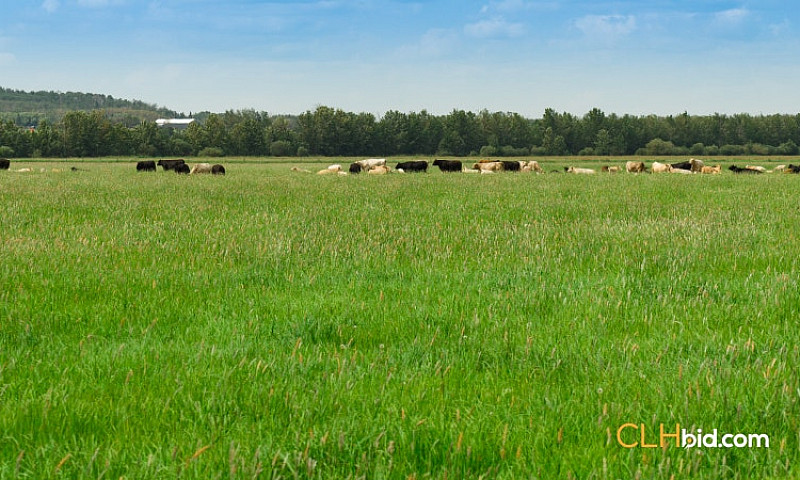 160 Acres Farm Land ...